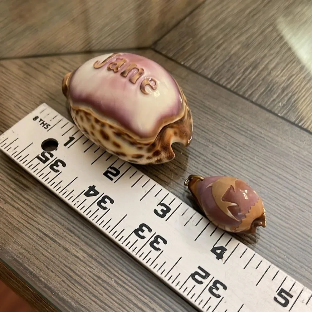 Vintage Engraved Tiger Cowrie Shell With “Jane” & Dolphin Pendant